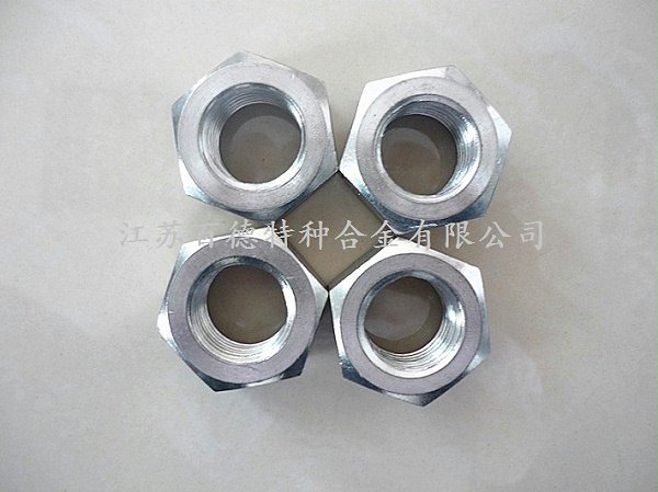  英科耐爾InconelX-750螺母